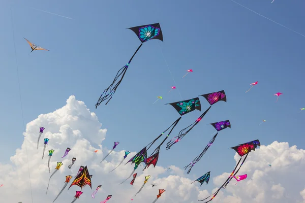 Beautifull Kite festival