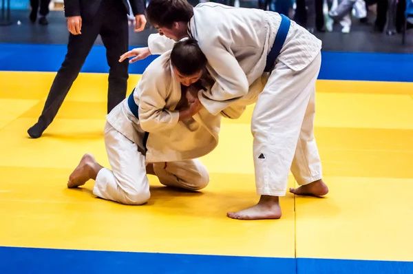 Two judoka,
