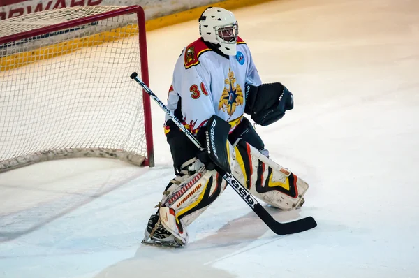 A fragment of the hockey penalty shot performed by the young hockey player