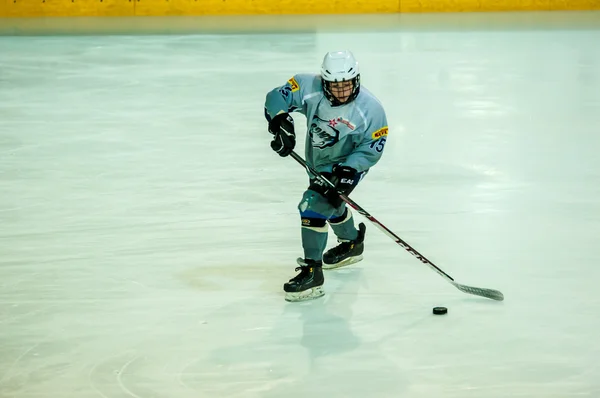 The boys are playing hockey