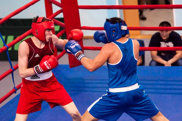 Fight boxers, Orenburg, Russia