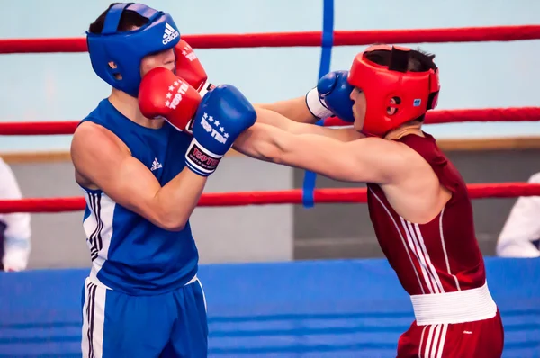 Competitions in boxing, Orenburg, Russia