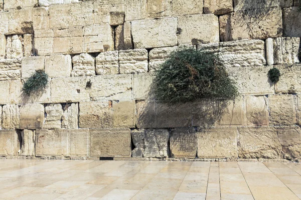 Western Wall in Jerusalem