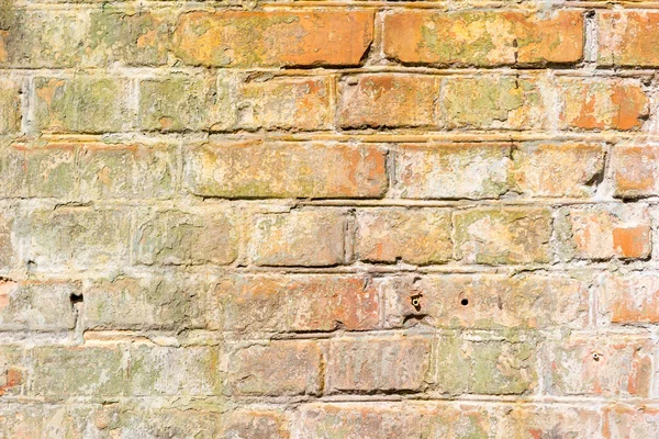 Old grunge brick wall background texture