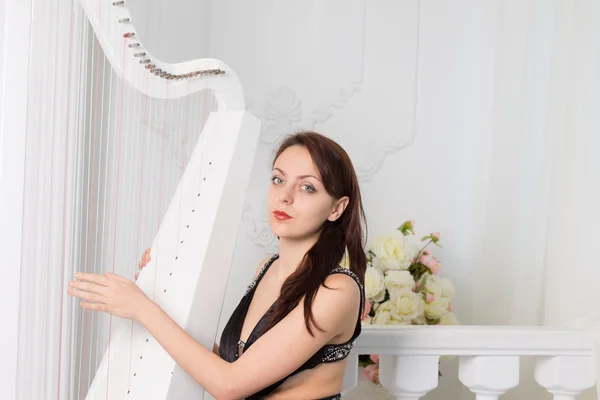 Pretty elegant musician playing the harp