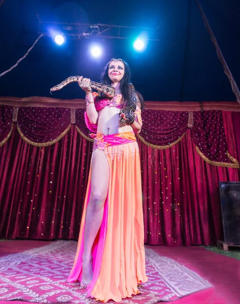 Exotic Belly Dancer Standing on Stage with Snake