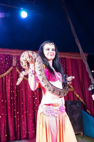 Exotic Belly Dancer Holding Large Snake on Stage