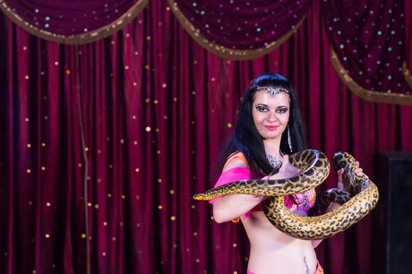 Exotic Belly Dancer with Large Snake on Stage