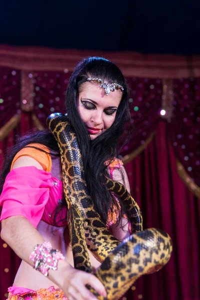 Exotic Belly Dancer with Large Snake on Stage