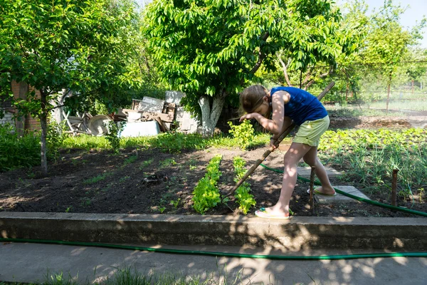 Young girl working in a veggie garden
