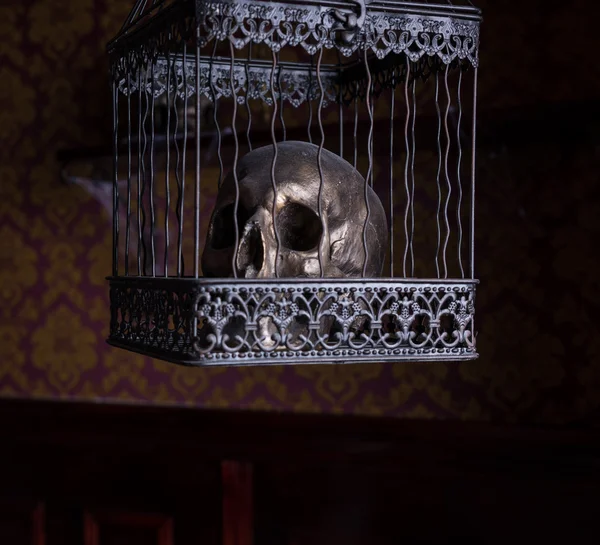 Skull in Ornate Cage in Room with Patterned Wall