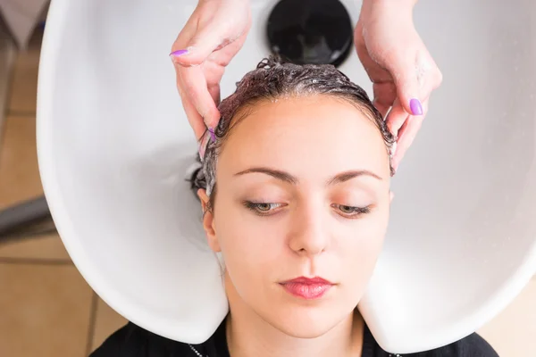 Woman Having Hair Washed by Stylist in Salon
