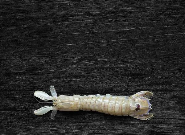 Mantis Shrimp on the black background