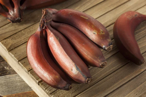 Raw Organic Red Bananas