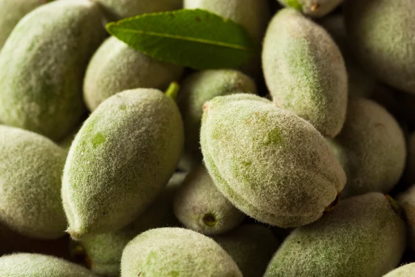 Organic Fresh Green Almonds