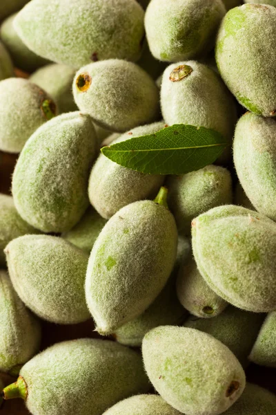 Organic Fresh Green Almonds