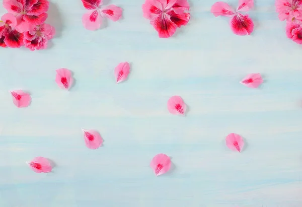 Light blue background with pink flowers on the edge.