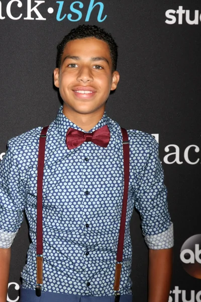 Marcus Scribner