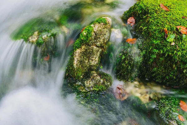 Mountain creek detail with mossy rocks and crystal clear water