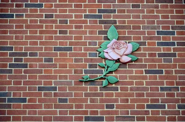 Pink rose on brick wall