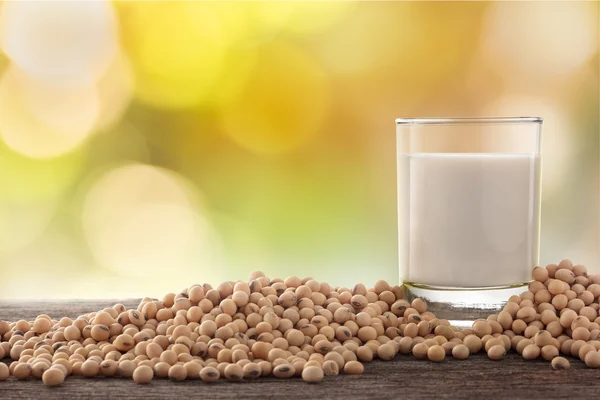 Glass of soy milk and soybean in garden background.
