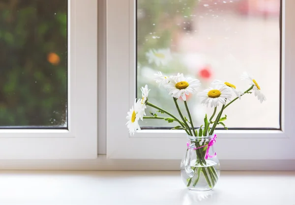 Bouquet of chamomiles flowers on the window sill