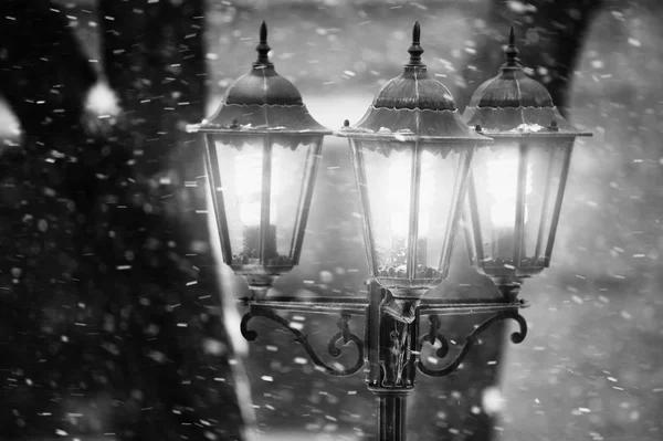 Street lamp in winter. Black and white photo