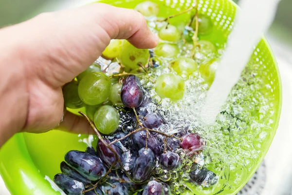 Hands washing a fresh grapes under the tap