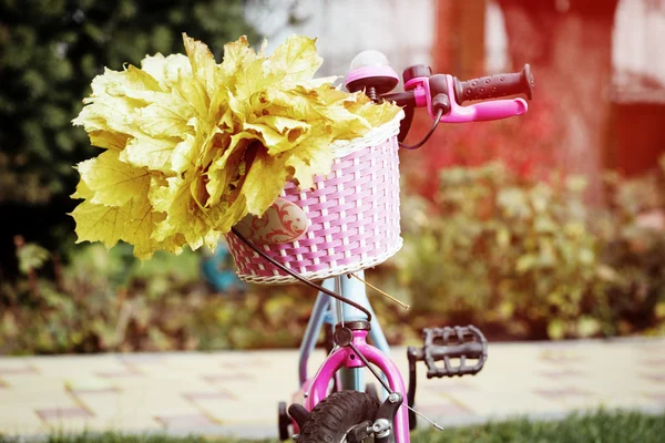 Bike basket with maple leaves, close up photo, autumn concept