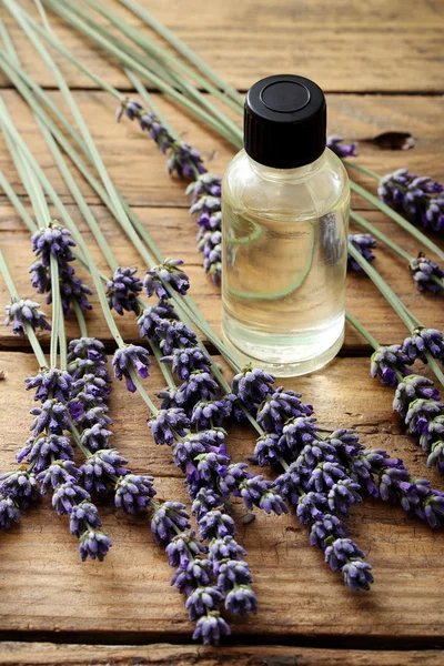 Essential lavender oil