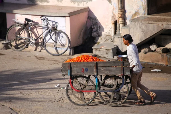 JAIPUR, INDIA - NOVEMBER 14: Unidentified man pushes food cart the street on November 14, 2014 in Jaipur, India. Jaipur is the capital and largest city of the Indian state of Rajasthan