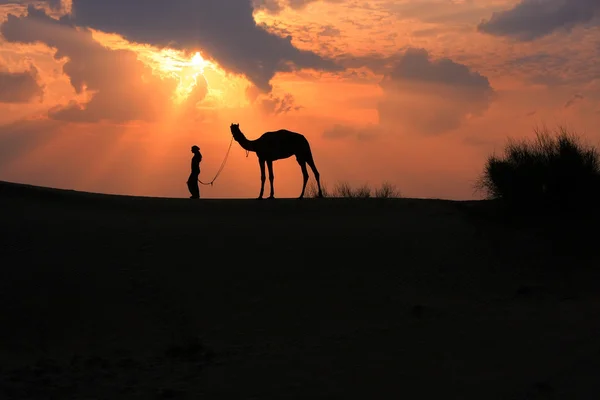 Silhouetted person with a camel at sunset, Thar desert near Jais