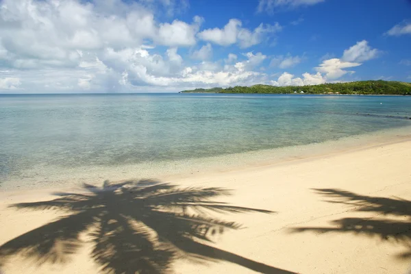 Sandy beach with palm tree shadows, Nananu-i-Ra island, Fiji