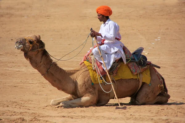 JAISALMER, INDIA - FEBRUARY 16: Unidentified man sits on camel after polo match at Desert Festival on February 16, 2011 in Jaisalmer, India. Main purpose of Festival is to display culture of Rajasthan