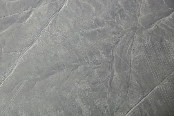 Aerial view of Nazca Lines - Monkey geoglyph, Peru.