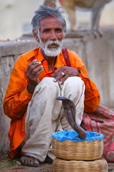 JAIPUR, INDIA - NOVEMBER 14: Unidentified man with a cobra sits in the street on November 14, 2014 in Jaipur, India. Jaipur is the capital and largest city of the Indian state of Rajasthan