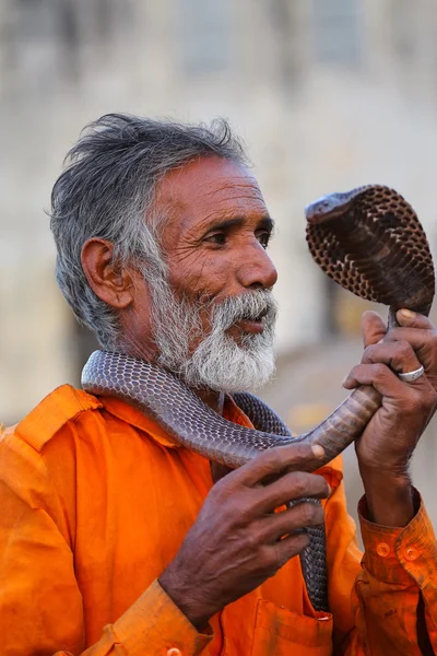 JAIPUR, INDIA - NOVEMBER 14: Unidentified man stands with a cobra in the street on November 14, 2014 in Jaipur, India. Jaipur is the capital and largest city of the Indian state of Rajasthan.