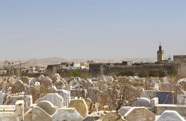The jewish cemetery