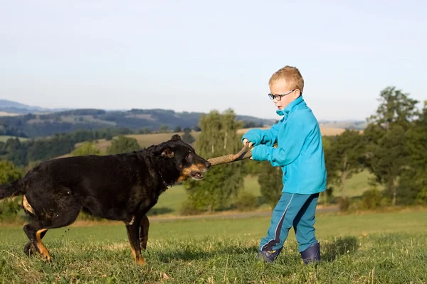 Little boy play with dog