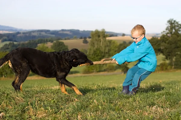 Little boy play with dog