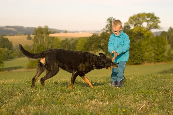 Little boy play with dog