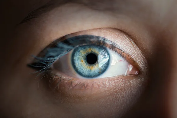 Human blue eye. Color toned image.