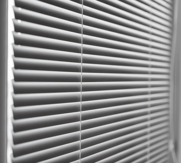 White venetian blinds.