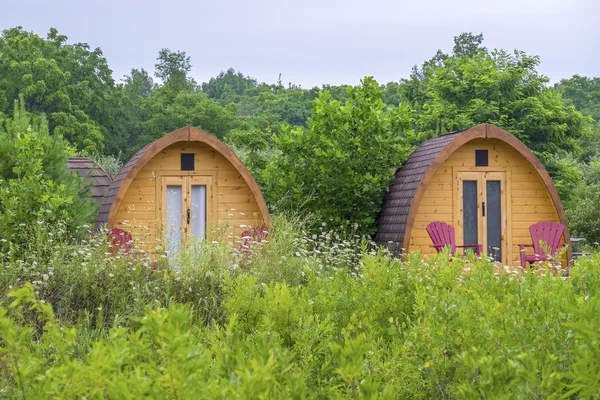 Glamping Accommodation Surrounded by Trees