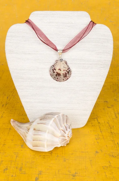 Seashell Necklace on a Display Stand