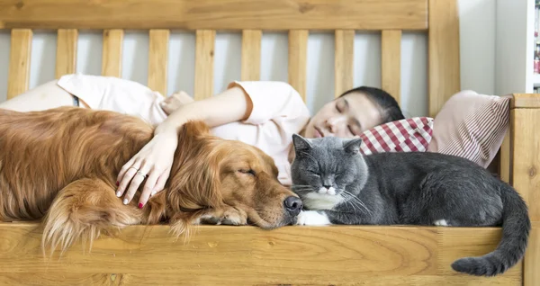 Cat and dog and girl sleeping