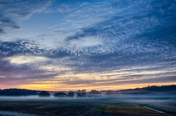 Abstract early morning sunrise over farm land