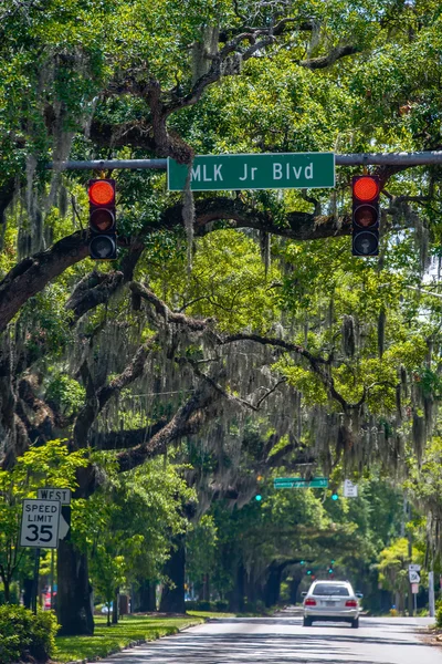 Savannah Georgia  oak tree lined streets
