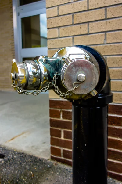 Standpipe with siamese connection device for fire hoses