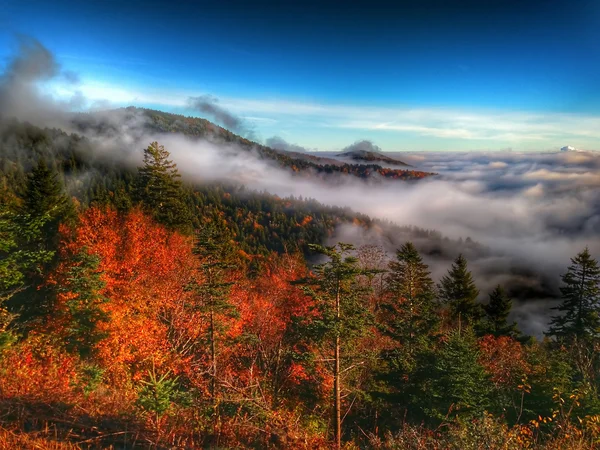 Autumn drive on blue ridge parkway